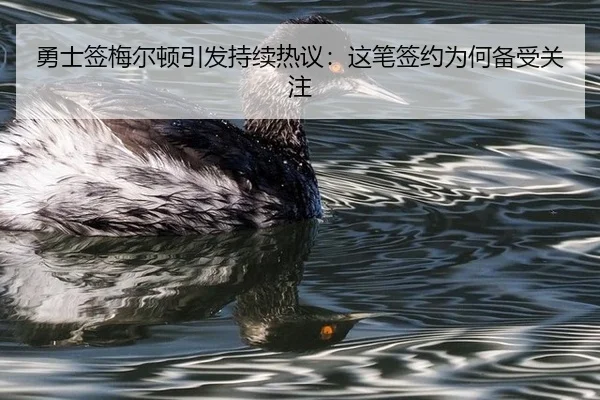 勇士签梅尔顿引发持续热议：这笔签约为何备受关注